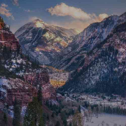 پوریا سازنده زیر حکم